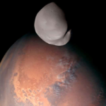 Felix R. Savage Redefines Science Fiction With Rebellion, Survival, and Hard-Hitting Storytelling